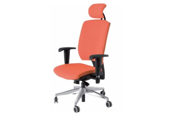 Daktilo stolica R/D 01